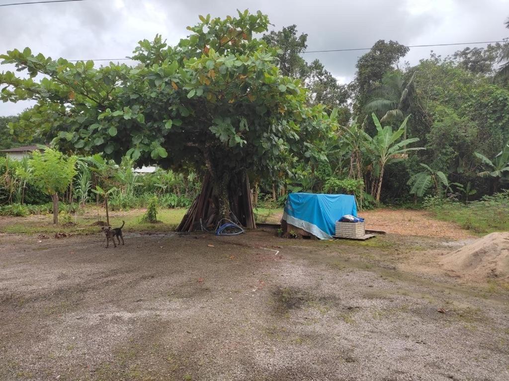 Casa Lagoinha Casa de férias Ubatuba